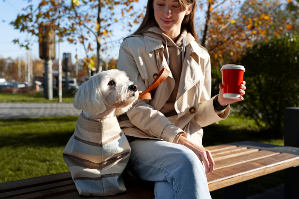 Pet Friendly Hotels In Denmark For A Comfortable Stay Photo Inspiration